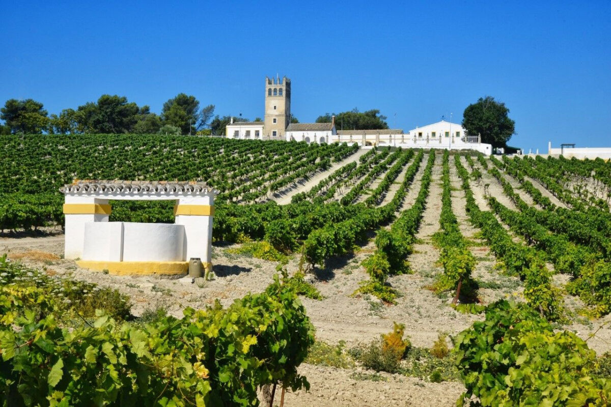 2019’s Best Brandy In The World Is FilipinoOwned Emperador Inc.